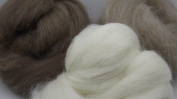 Wolle in Naturfarben bei Woll-Keulen