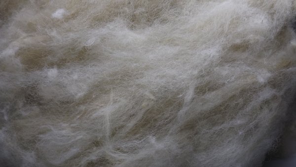 Ouessant Heilwolle mit Wollfett bei Woll-Keulen