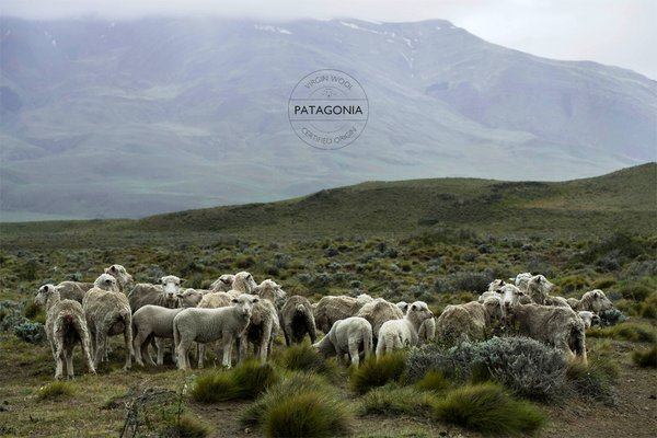 Bio merino bei Woll-Keulen Patagonische Merino