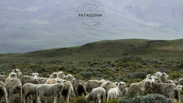 Schurwolle Strickwolle Merino Patagonia bei Woll-Keulen.de